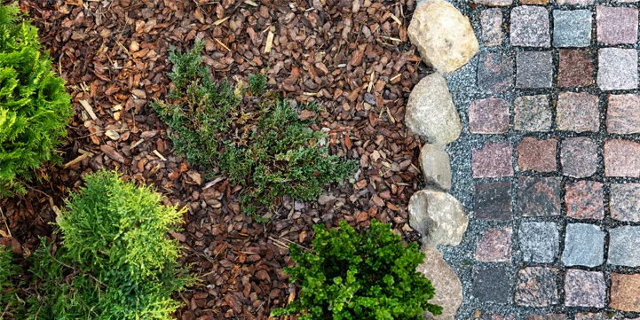 custom lawncare for indianapolis