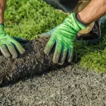 Landscape Renovation in Indianapolis: 7 Signs Your Yard Needs More Than a Cleanup landscape renovation indianapolis yard makeover