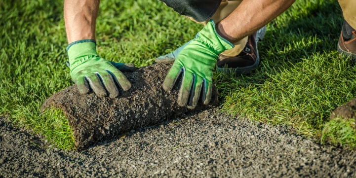 landscape renovation indianapolis yard makeover