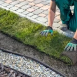 Sod vs. Seed in Indiana: Which Is the Right Choice for Your Indianapolis Lawn? sod vs seed in indiana